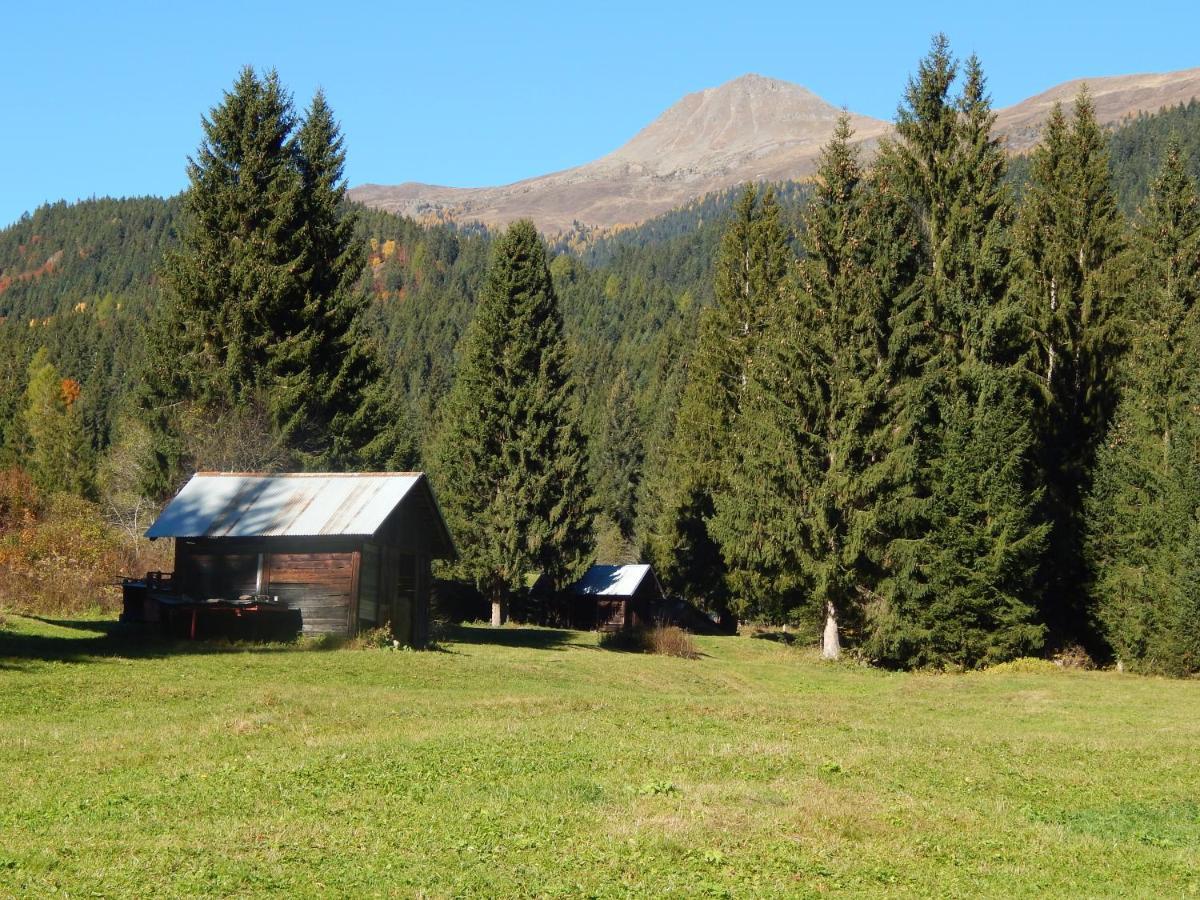 Residence La Pineta Padola Eksteriør bilde